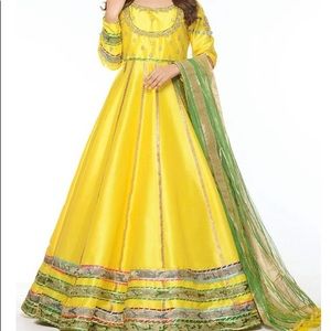 Pakistani mehndi bridal dress.